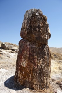 GREECE, North East Aegean, Lesvos Island, Mitilini, Fossilized tree at the ancient fossilized