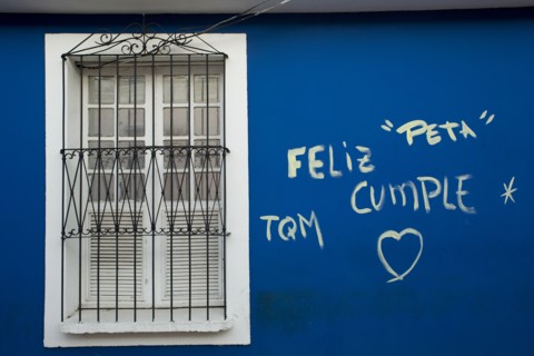 VENEZUELA, Bolivar State, Ciudad Bolivar, blue wall with graffiti words in Spanish and the symbol
