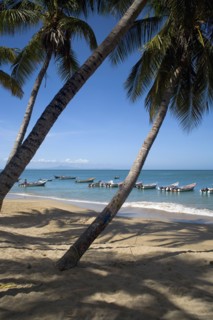 VENEZUELA, Margarita Island, Playa la Galera, View of exotic beach with palm trees and their shades