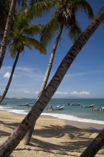 VENEZUELA, Margarita Island, Playa la Galera, View of exotic beach with palm trees and their shades