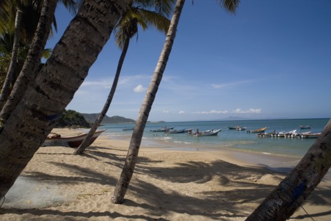 VENEZUELA, Margarita Island, Playa la Galera, View of exotic beach with palm trees and their shades