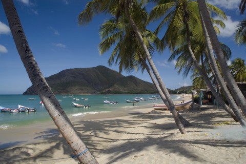VENEZUELA, Margarita Island, Playa la Galera, View of exotic beach with palm trees and their shades