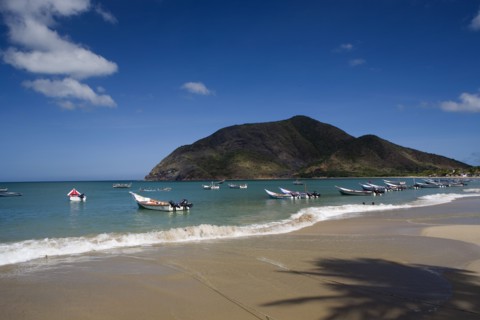 VENEZUELA, Margarita Island, Playa la Galera, View of exotic beach with palm trees and their shades