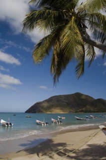 VENEZUELA, Margarita Island, Playa la Galera, View of exotic beach with palm trees and their shades