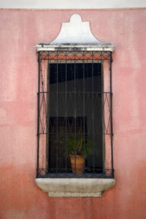 VENEZUELA, Bolivar State, Ciudad Bolivar, open window with a plant in a pot behind the black iron