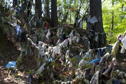 Scotland, Black Isle, Munlochy, Clootie Well, Clothing hanging from trees as part of an ancient pre