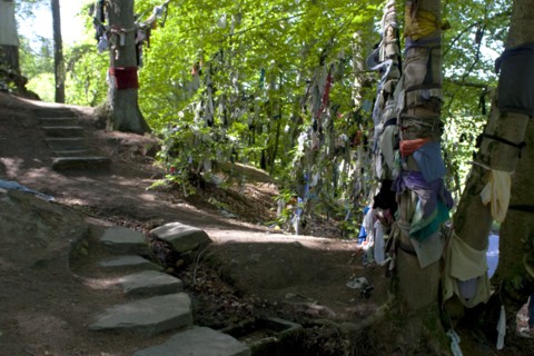 Scotland, Black Isle, Munlochy, Clootie Well, Clothing hanging from trees as part of an ancient pre