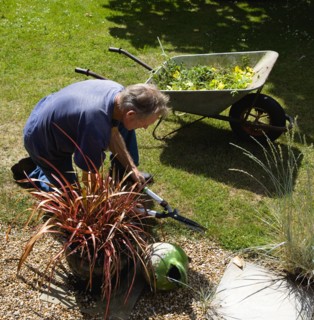 England, West Sussex, Chichester, Gardener beside wheelbarrow trimming lawn edges with shears in