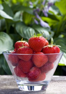 Food, Fruit, Strawberry, Glass bowl with ripe summer strawberries on a stone bench in a garden.
