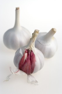 Food, Herbs, Garlic, Three bulbs of garlic Allium sativum with cloves revealed against a white