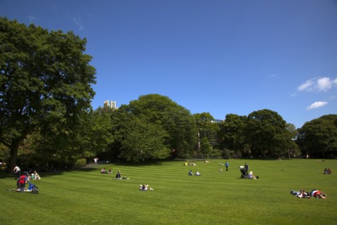 Ireland, North, Belfast, Botanic Gardens with people relaxing in the sun.