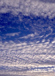 Windswept cloudscape. White