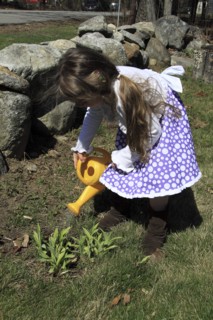 Young girl Kylan Stone waters plants in garden with a plastic watering can in Keene New Hampshire.