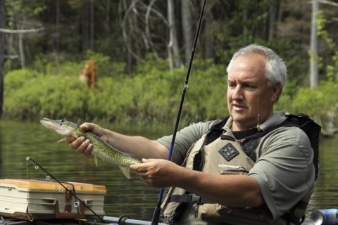 Sullivan, New Hampshire, USA. Jeff Russell holding a Pickerel fish caught by fishing from kayak on