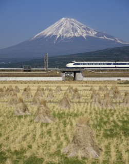 Mount Fuji, Honshu, Japan. Mount Fuji with Shinkansen bullet train passing through rice fields.
