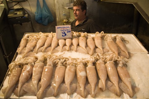 Athens, Attica, Greece. Central Market Fresh squid displayed on stall with male shopkeeper standing