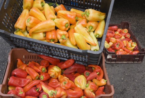 Budapest, Pest County, Hungary. Crates of yellow red and orange Capsicum annuum bell pepper or