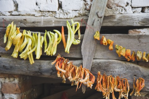 Sirince, Aydin Province, Turkey. Strings of chilies hanging up to dry in late afternoon summer