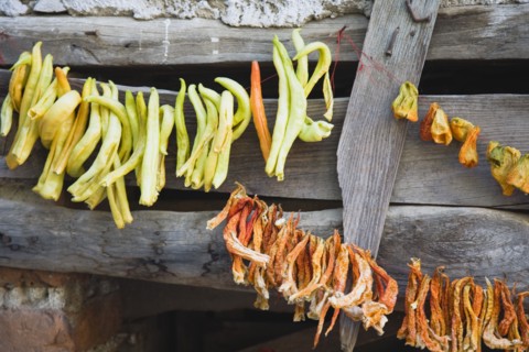 Sirince, Aydin Province, Turkey. Strings of chilies hanging up to dry in late afternoon summer