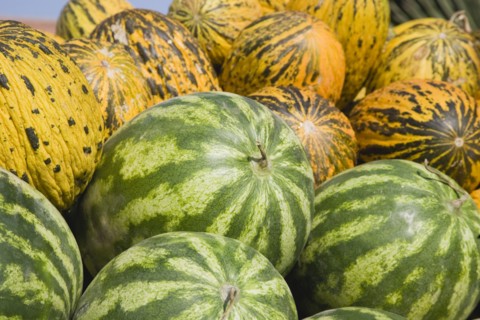 Kusadasi, Aydin Province, Turkey. Fresh green and yellow striped melons delivered to the head chef