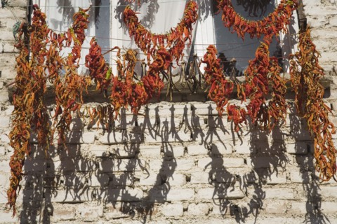 Kusadasi, Aydin Province, Turkey. Strings of red and orange chilies hung up to dry in late