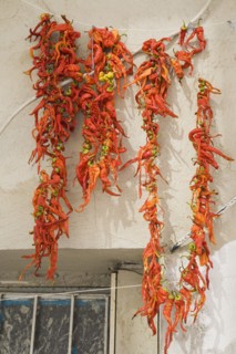 Kusadasi, Aydin Province, Turkey. Strings of bright red and orange coloured chilies drying in late