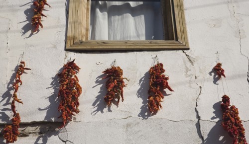 Kusadadsi, Aydin Province, Turkey. Red chilli peppers hung on strings to dry in summer sunshine