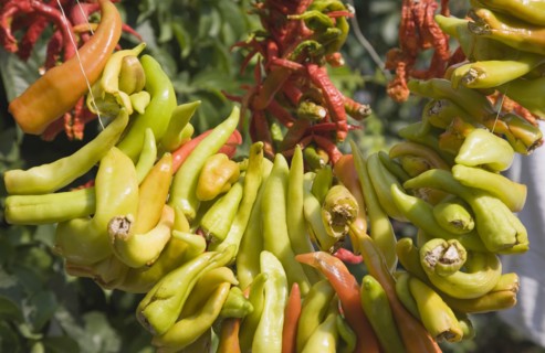 Selcuk, Izmir Province, Turkey. Ephesus. Chilli peppers hung up to dry. Turkish Eurasia Eurasia