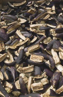 Selcuk, Izmir Province, Turkey. Ephesus. Sliced aubergine laid out to dry in late afternoon summer