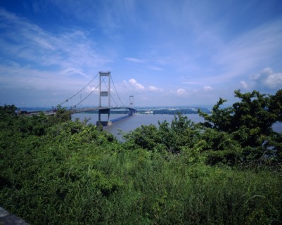 The old Severn Bridge with trees and grasses in the foreground Scenic