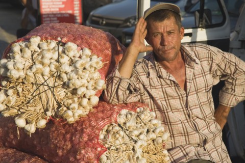 Kusadasi, Aydin Province, Turkey. Stallholder at weekly market leaning on sacks of garlic in the