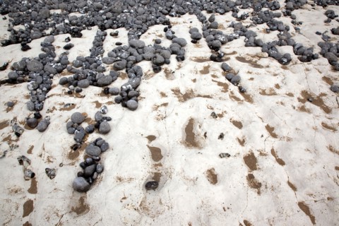 Birling Gap, East Sussex, England. Pebbles of various sizes deposited on chalk shelf by the sea.