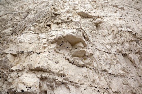 Birling Gap, East Sussex, England. Looking up at chalk cliff face showing various strata layers.