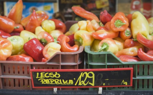 Budapest, Pest County, Hungary. Crate of red orange and yellow Capsicum annuum or Bell Chili