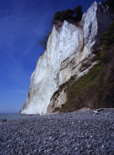 Denmark, Isle of Mon, Mons Klint, East facing chalk sea cliffs rising from flintstone beach with
