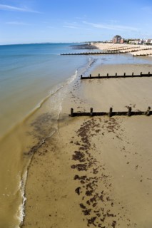 England, West Sussex, Bognor Regis, Wooden groynes at low tide used as sea defences against erosion