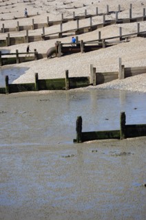 England, West Sussex, Bognor Regis, Wooden groynes at low tide used as sea defences against erosion