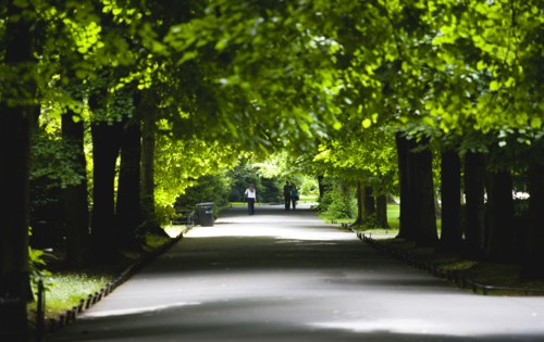 Ireland, County Dublin, Dublin City, People on the Lime Walk in the shade of trees in Saint