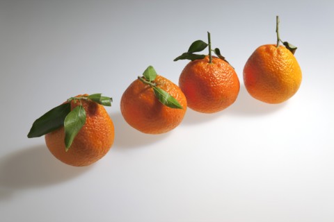 Food, Fruit, Orange, Four fresh Clementine oranges.