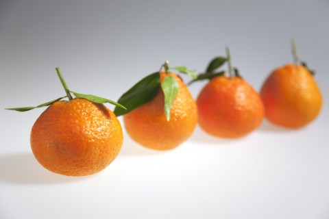 Food, Fruit, Orange, Four fresh Clementine oranges.