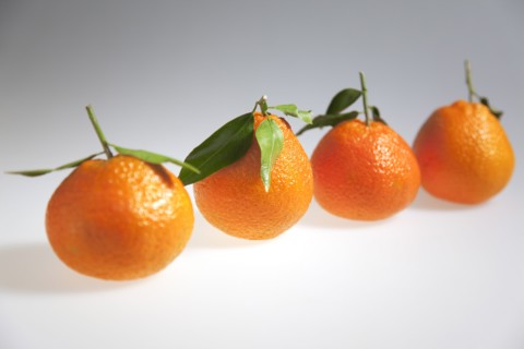 Food, Fruit, Orange, Four fresh Clementine oranges.