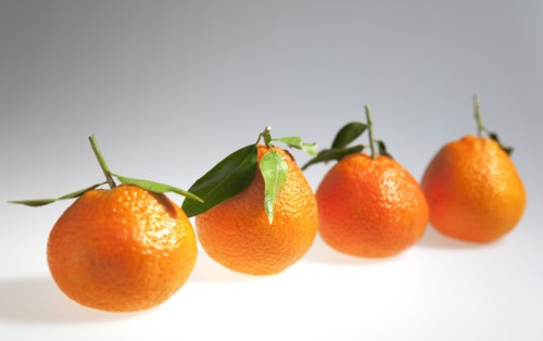 Food, Fruit, Orange, Four fresh Clementine oranges.