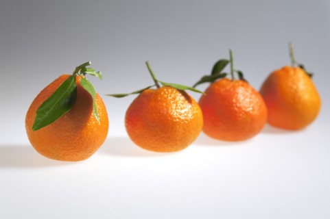 Food, Fruit, Orange, Four fresh Clementine oranges.