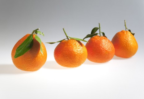 Food, Fruit, Orange, Four fresh Clementine oranges.