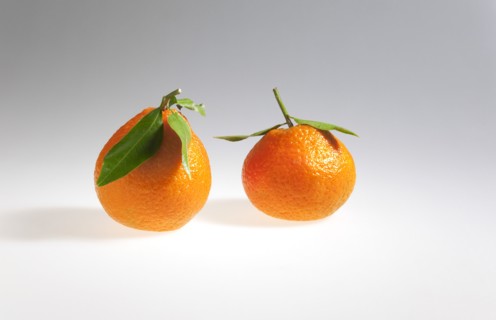 Food, Fruit, Orange, Four fresh Clementine oranges.
