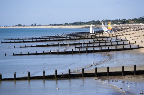 England, West Sussex, Bognor Regis, Wooden groynes at low tide used as sea defences against erosion