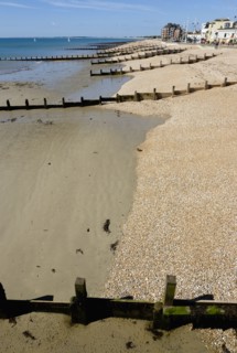 England, West Sussex, Bognor Regis, Wooden groynes at low tide used as sea defences against erosion