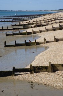 England, West Sussex, Bognor Regis, Wooden groynes at low tide used as sea defences against erosion