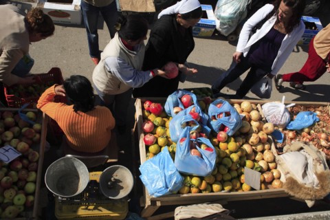 Albania, Tirane, Tirana, Looking down on stall of street vendor selling apples  pomegranates and