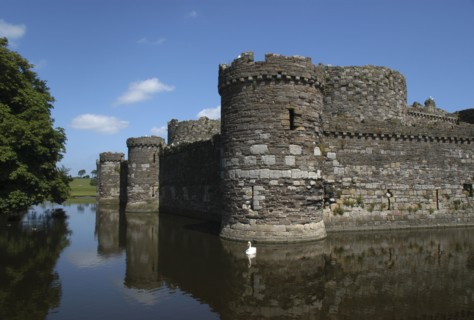 Wales, General, Conifer Castle seen over surrounding moat with floating swan